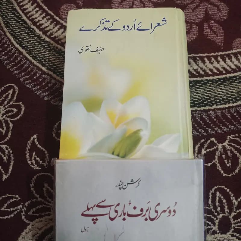 URDU literature books