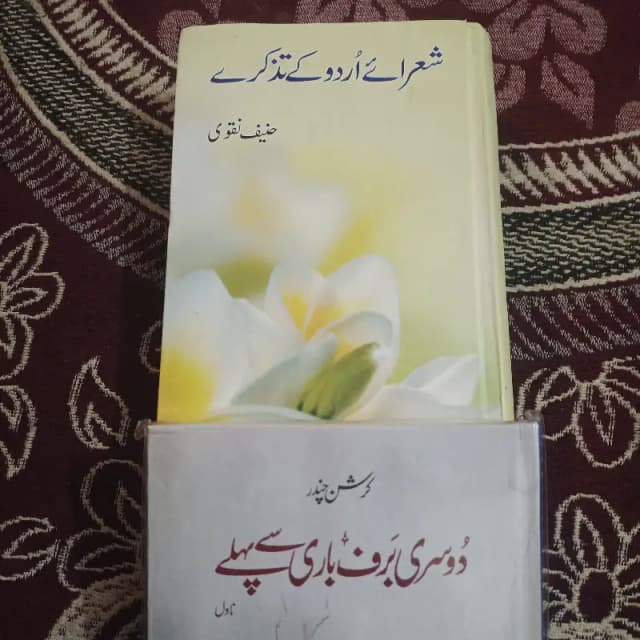 URDU literature books